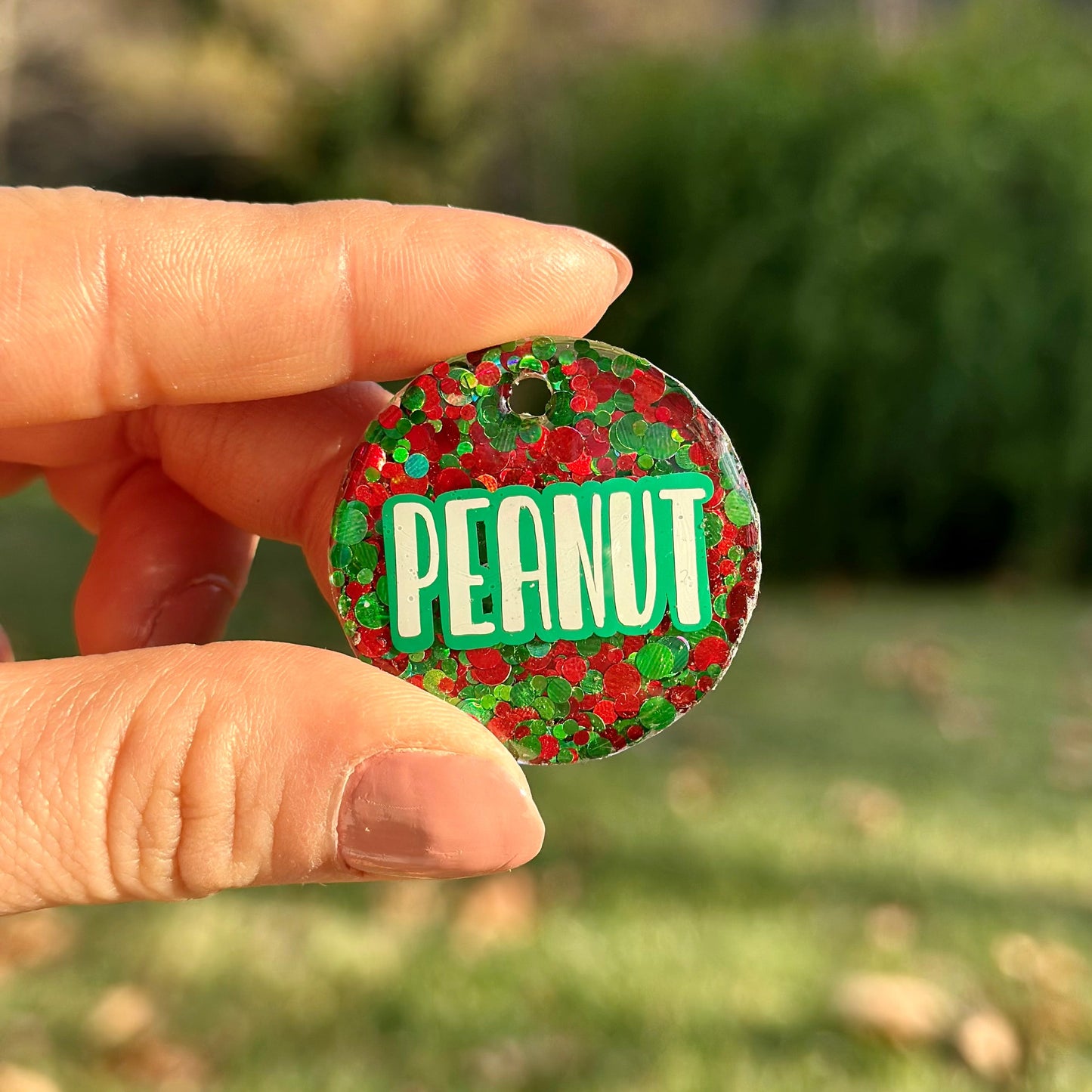 Christmas | İsimli Köpek Künyesi