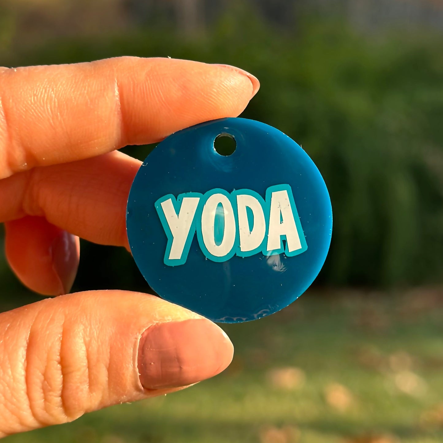 Havana | İsimli Köpek Künyesi