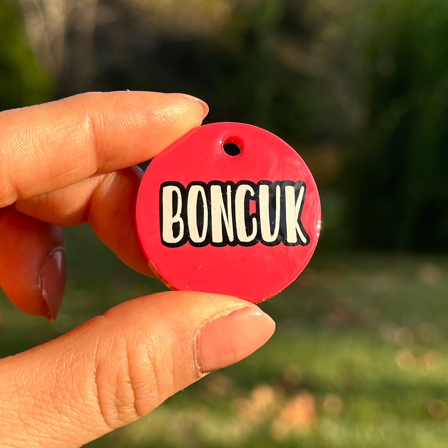 Maple | İsimli Kedi Künyesi