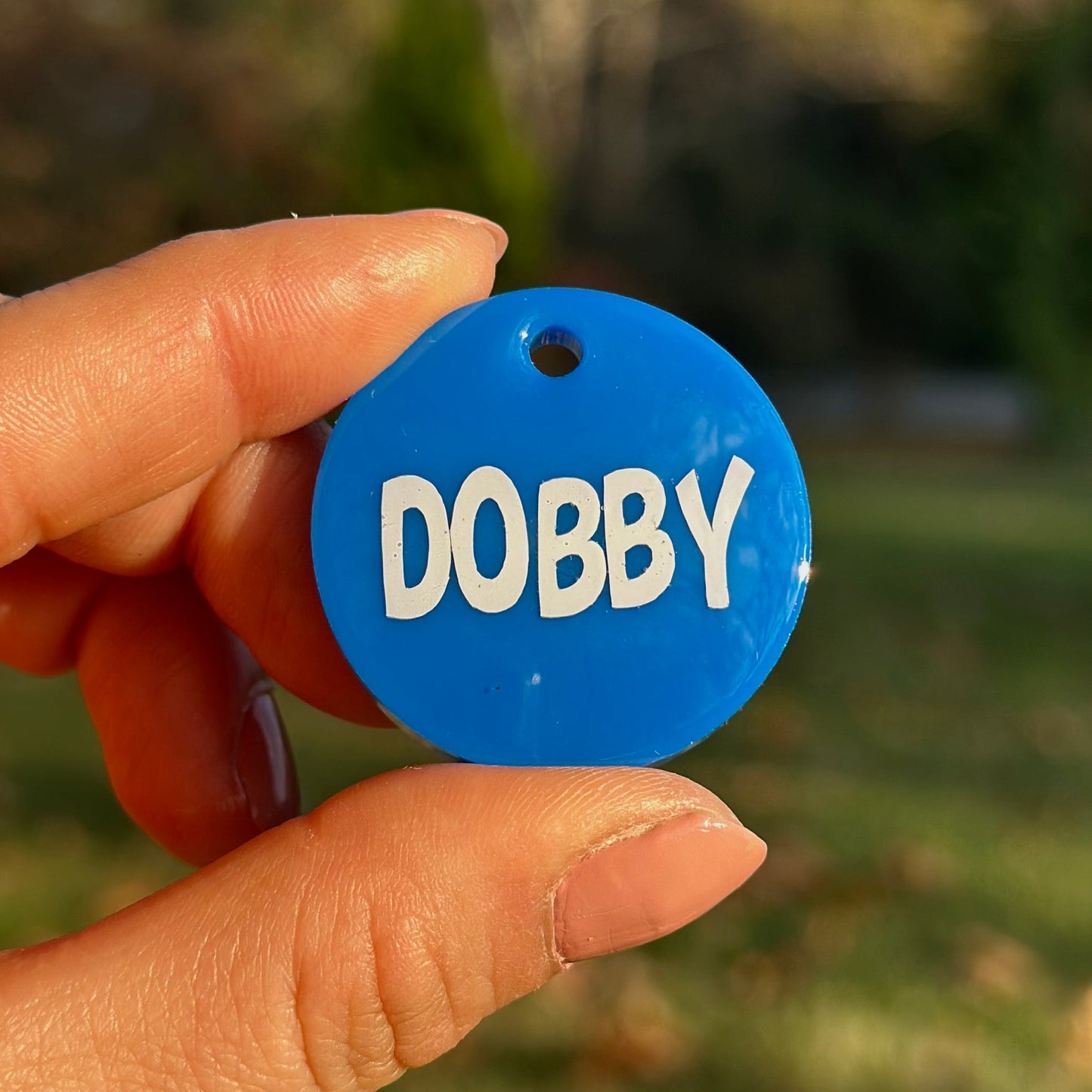 Atlas | İsimli Kedi Künyesi