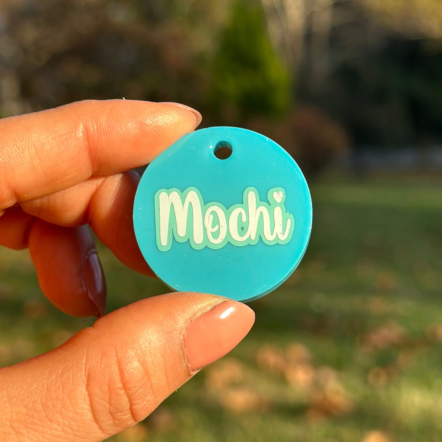 Lisa | İsimli Köpek Künyesi