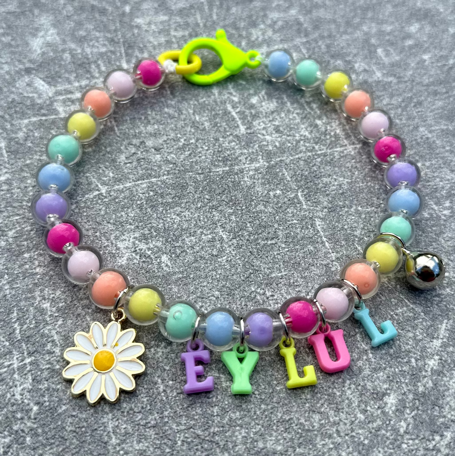 İri Şeffaf Renkli Köpek Kolyesi 2