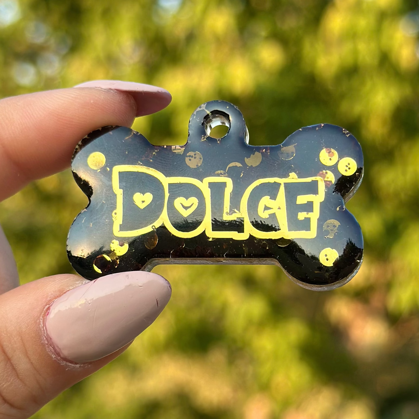 Eclipse│ İsimli Köpek Künyesi