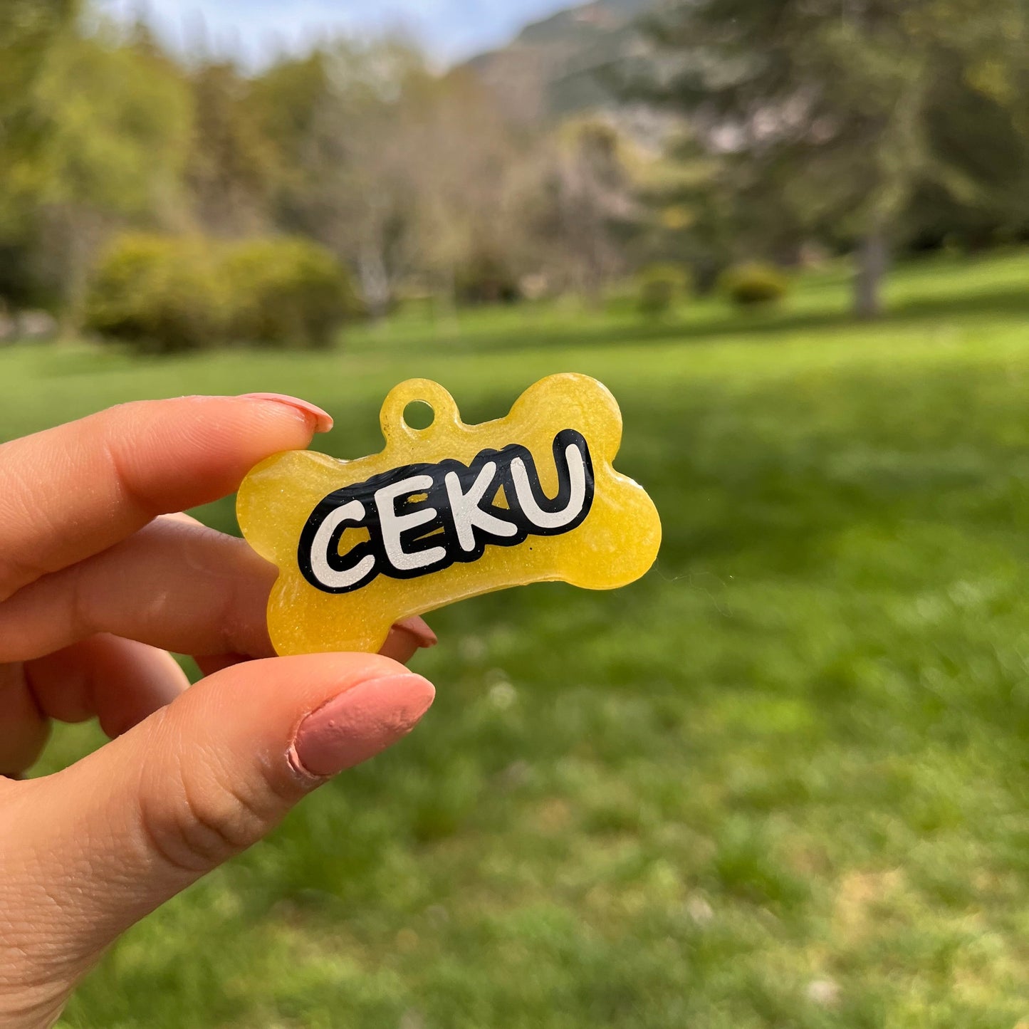 Sedefli Sarı Renk İsimli Köpek Künyesi