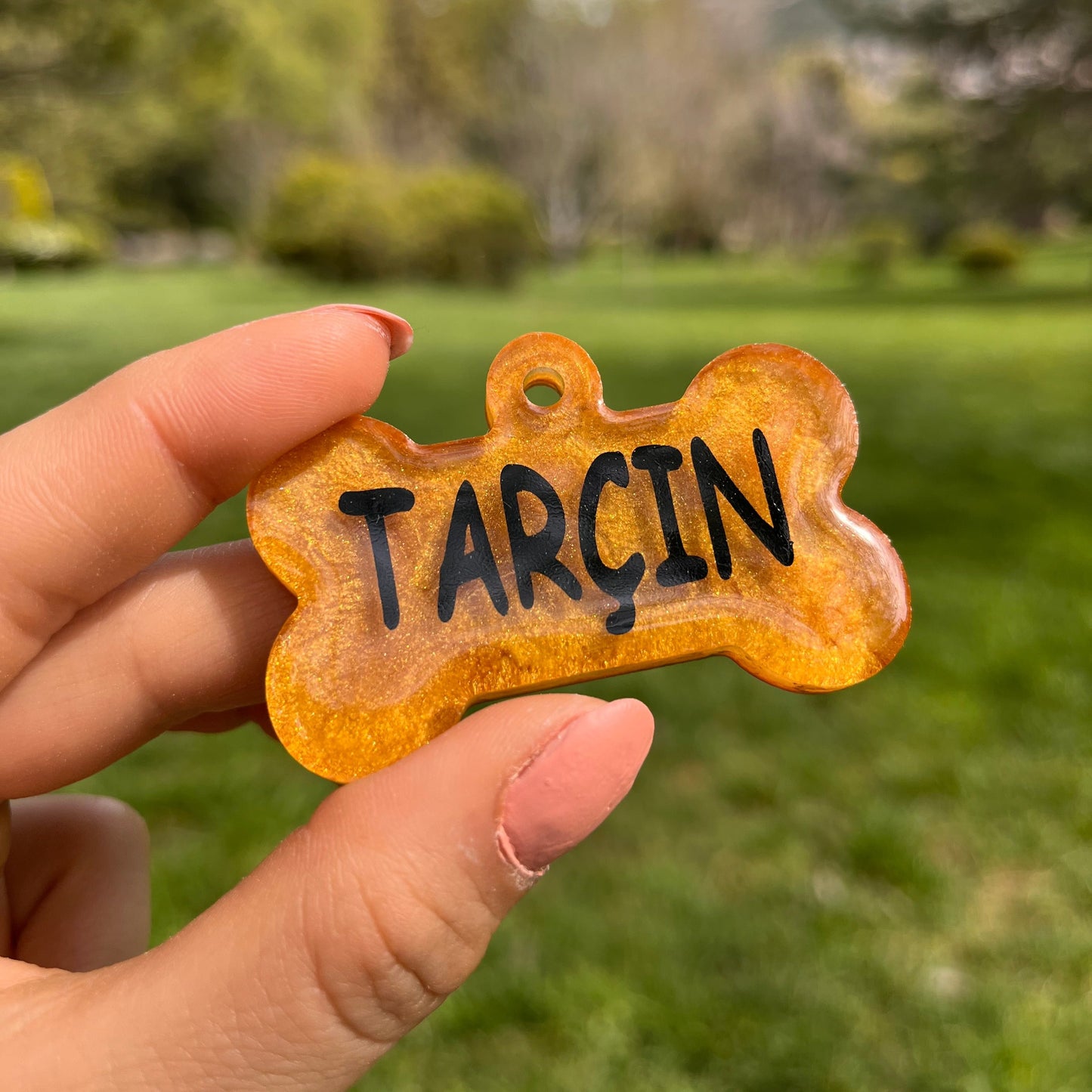 Gold Renk İsimli Köpek Künyesi