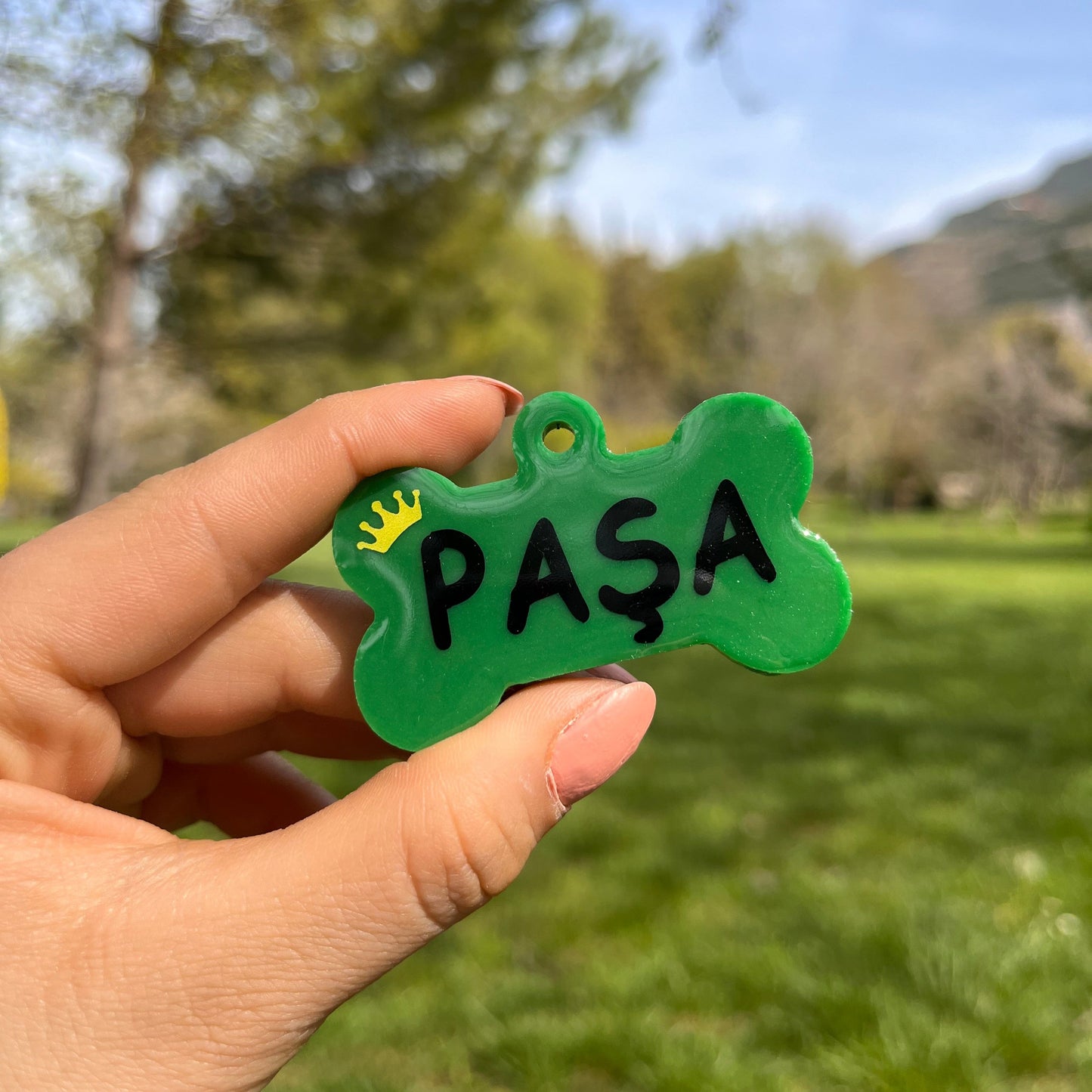 Koyu Yeşil Renk İsimli Köpek Künyesi