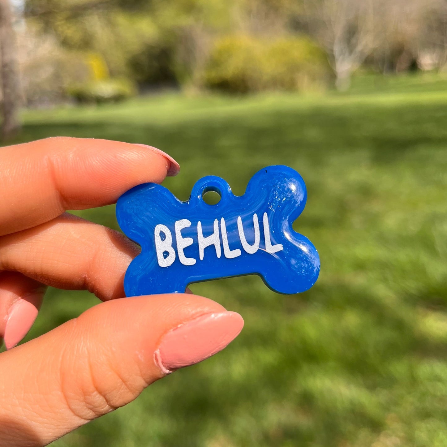 Koyu Mavi Renk İsimli Kedi Künyesi