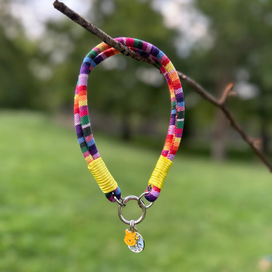 Gökkuşağı Kedi Kolyesi