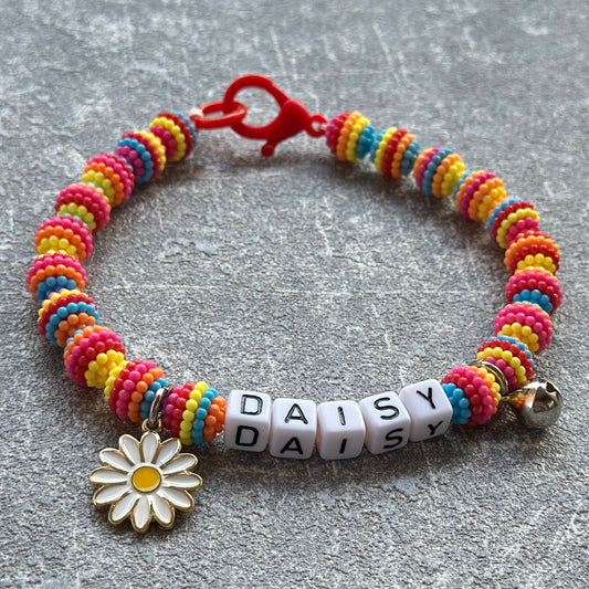 Renkli Böğürtlen Köpek Kolyesi