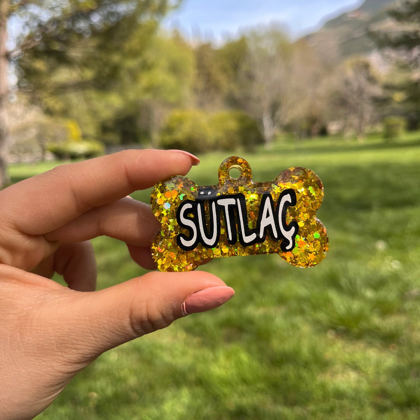 Gold Glitter Renk İsimli Kedi Künyesi