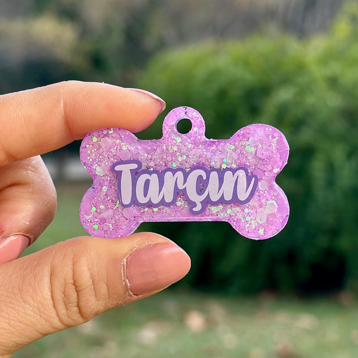 Mystic | İsimli Köpek Künyesi