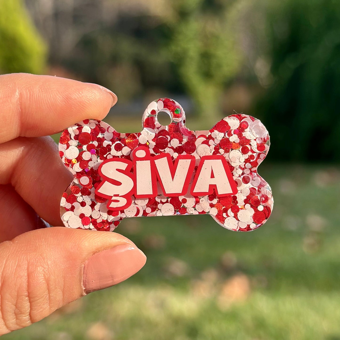 Noel | İsimli Kedi Künyesi