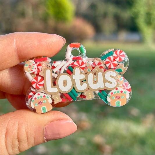 Holly | İsimli Kedi Künyesi