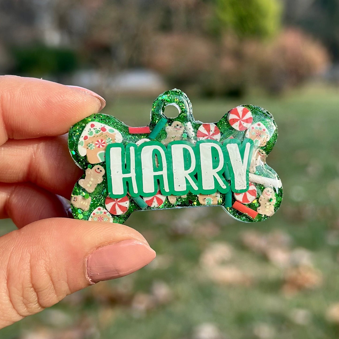 Candy Cane | İsimli Kedi Künyesi