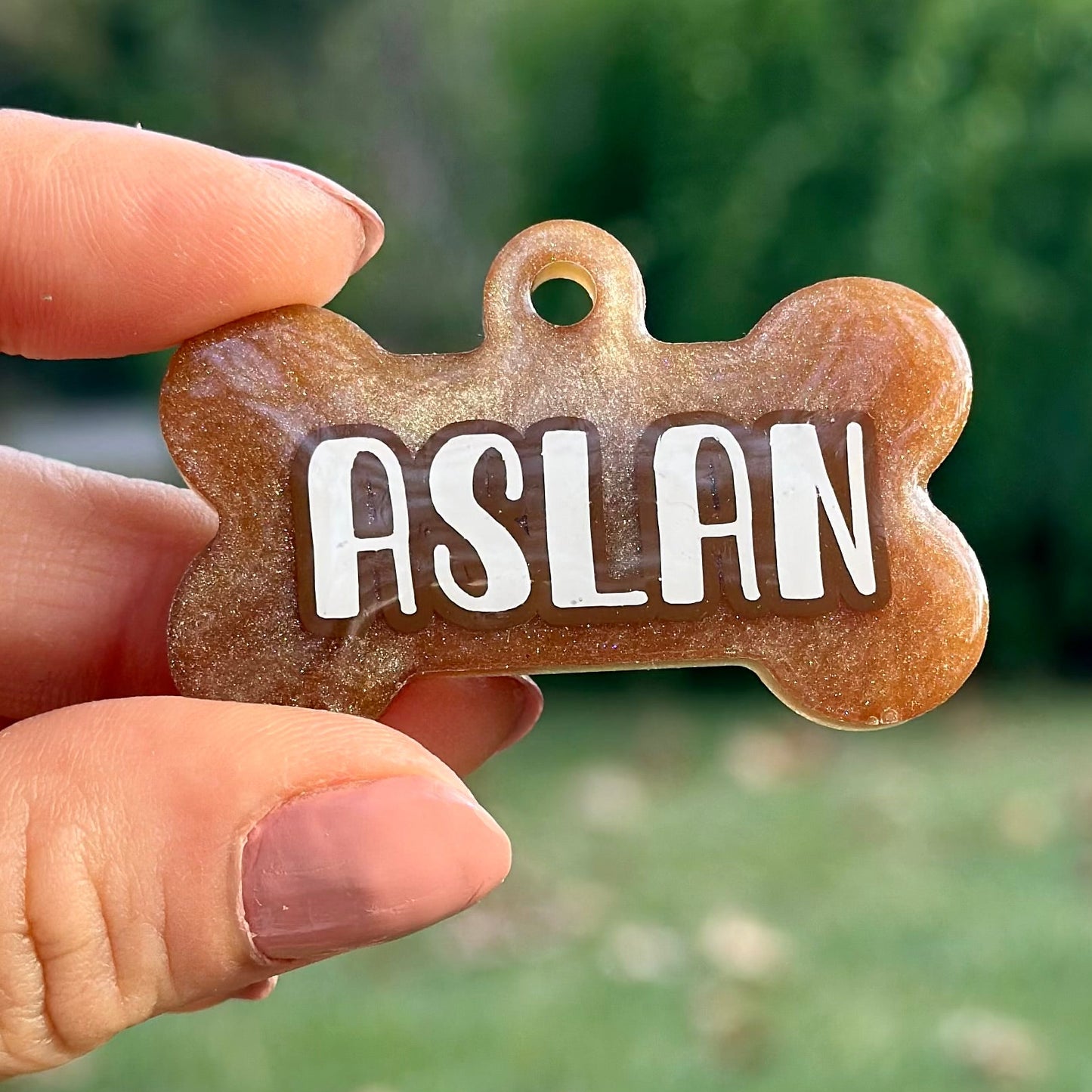 Troy | İsimli Kedi Künyesi