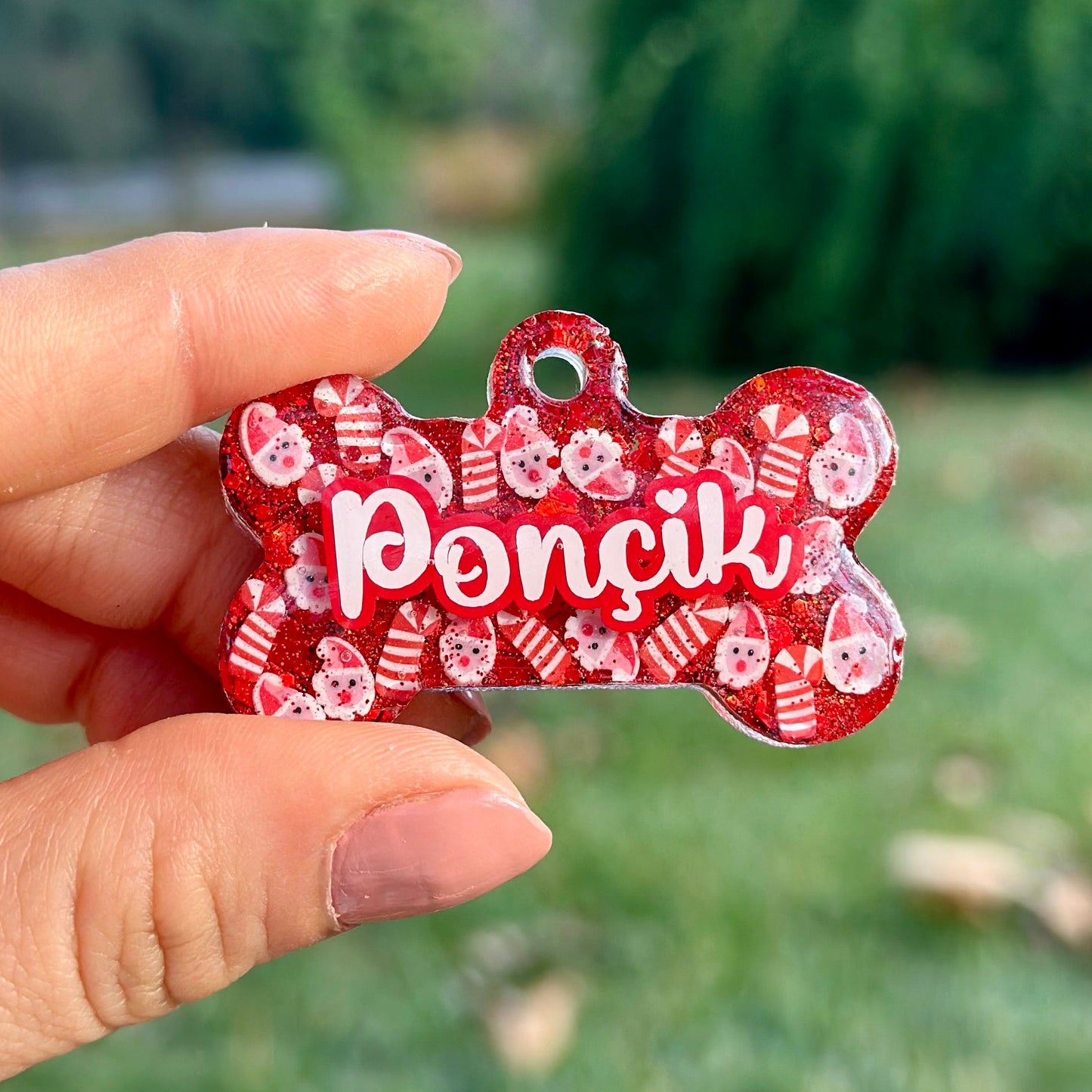 Santa Paws | İsimli Kedi Künyesi