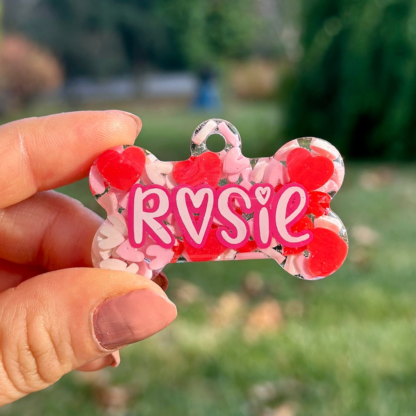 Amour | İsimli Köpek Künyesi