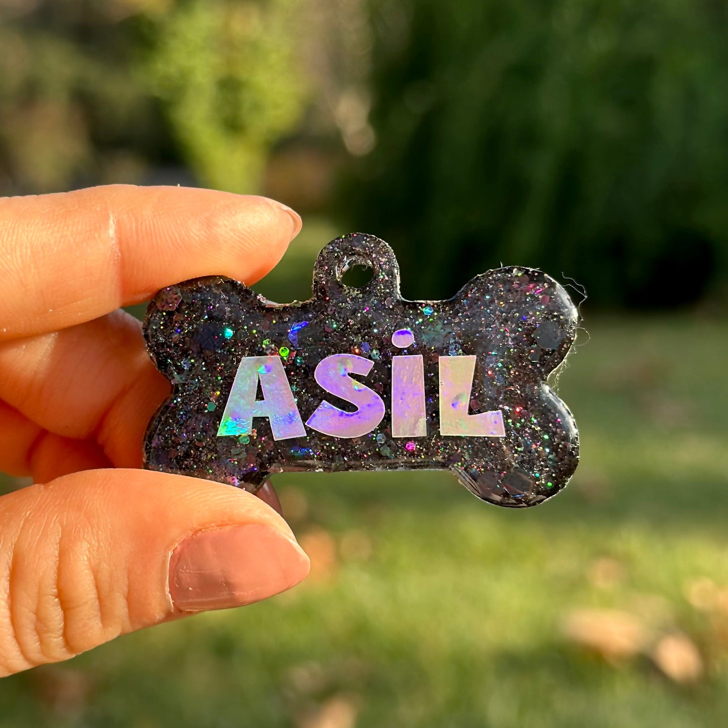 Shadow | İsimli Kedi Künyesi