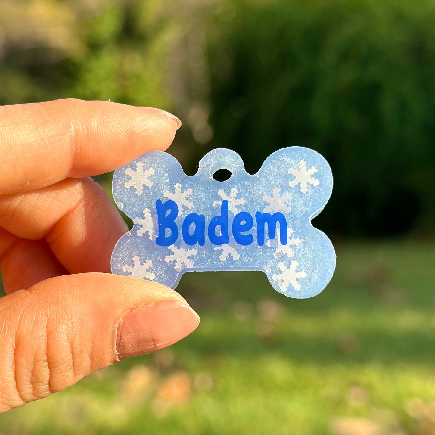 Blue Snowflake | İsimli Kedi Künyesi