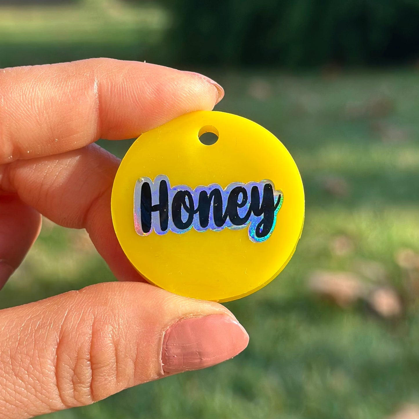 Lamos | İsimli Kedi Künyesi