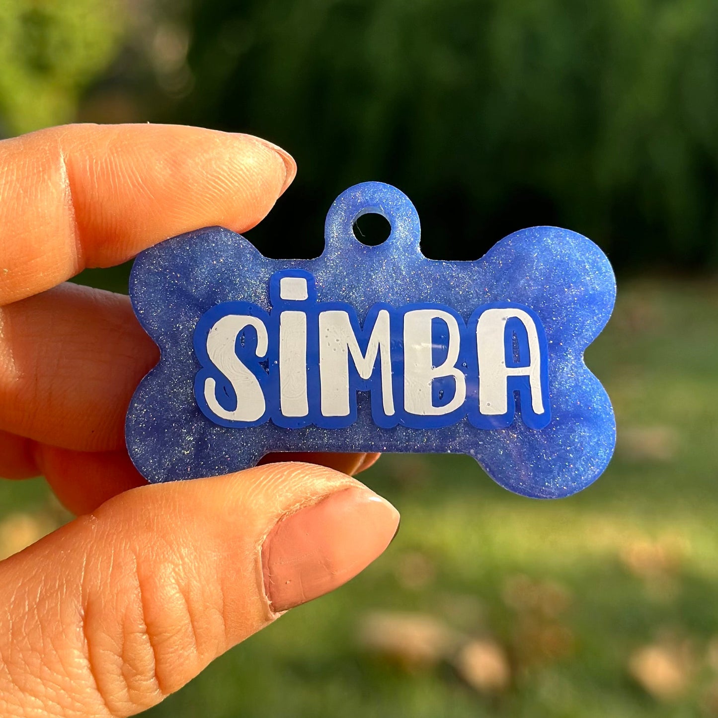 Hollywood | İsimli Köpek Künyesi