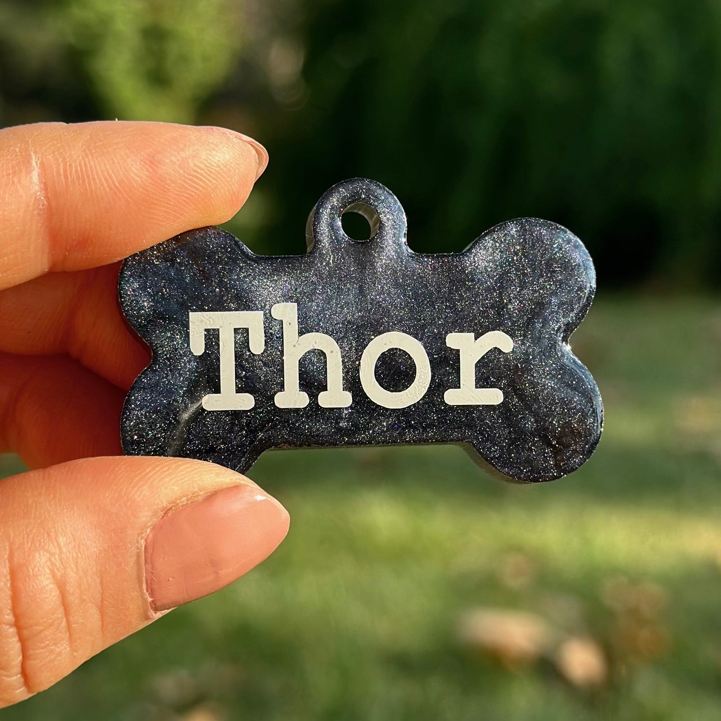 Basalt | İsimli Kedi Künyesi