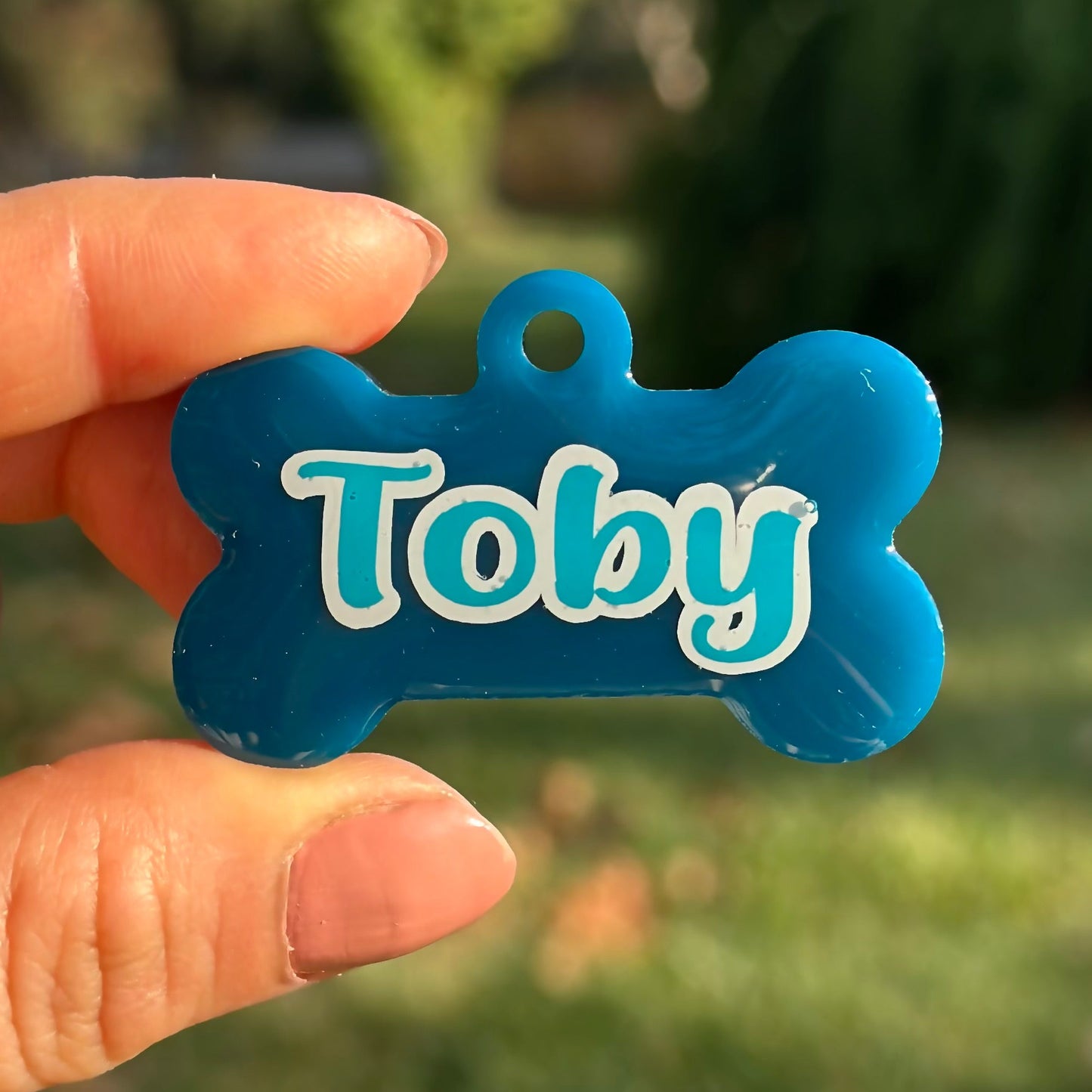 Havana | İsimli Köpek Künyesi