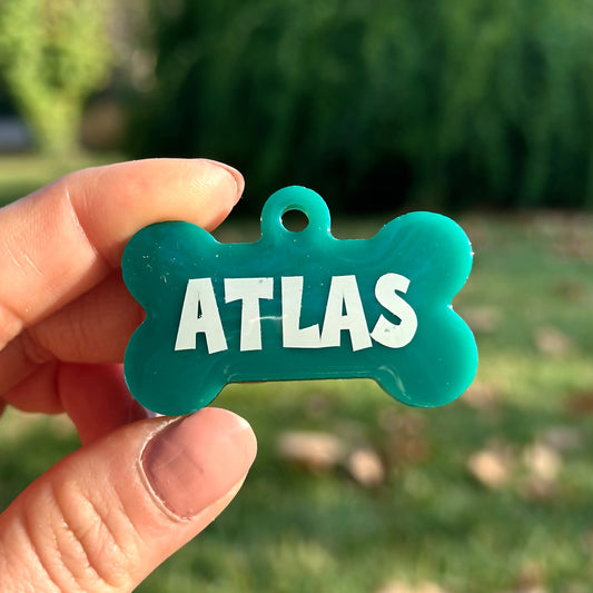 Cactus | İsimli Kedi Künyesi