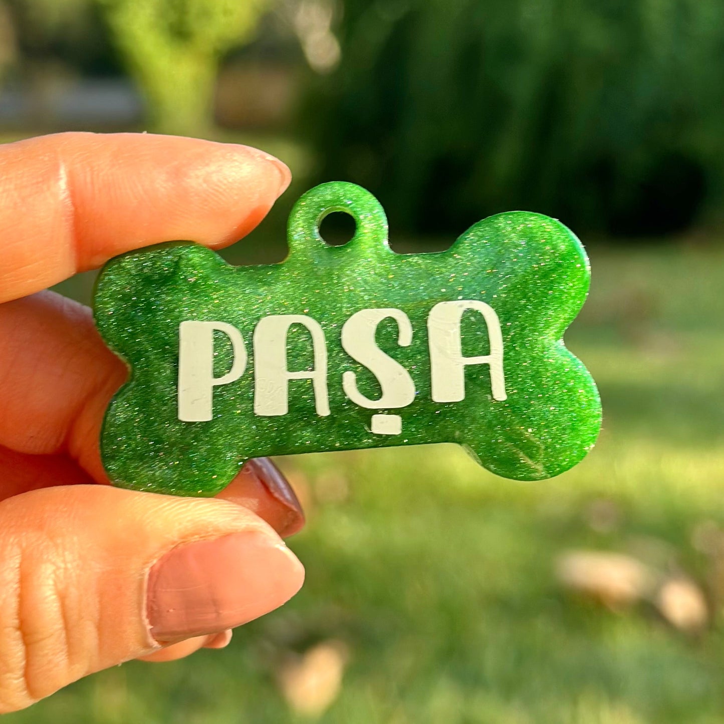 Alba | İsimli Kedi Künyesi