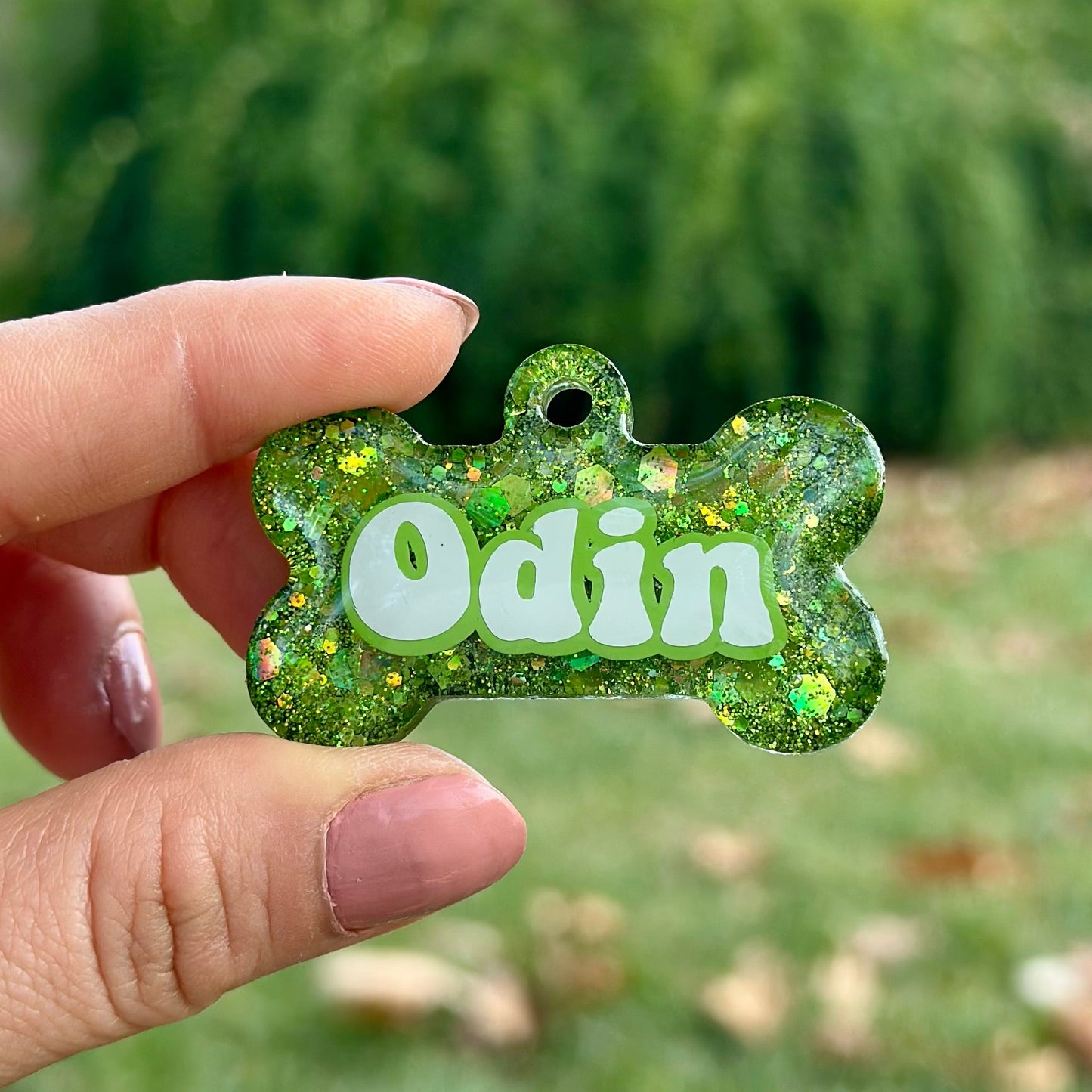 Forest | İsimli Kedi Künyesi