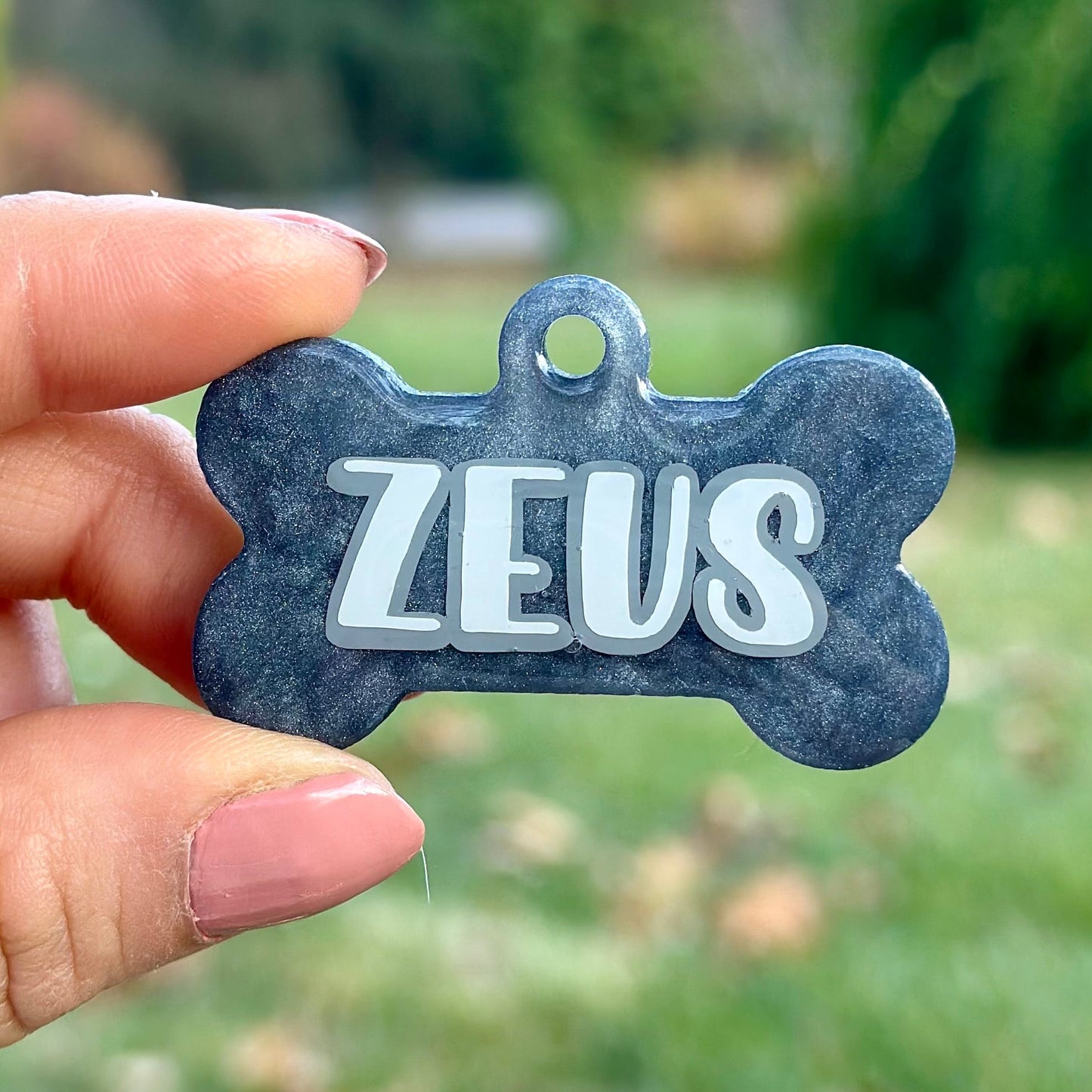 Artic | İsimli Kedi Künyesi