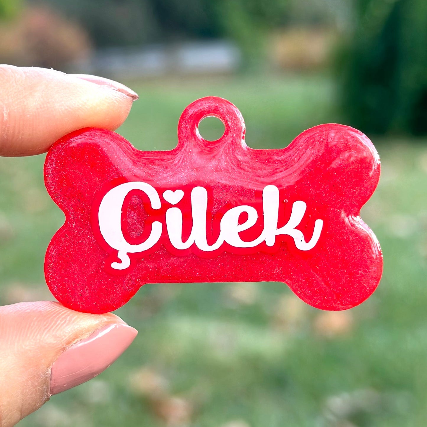 Eden | İsimli Köpek Künyesi