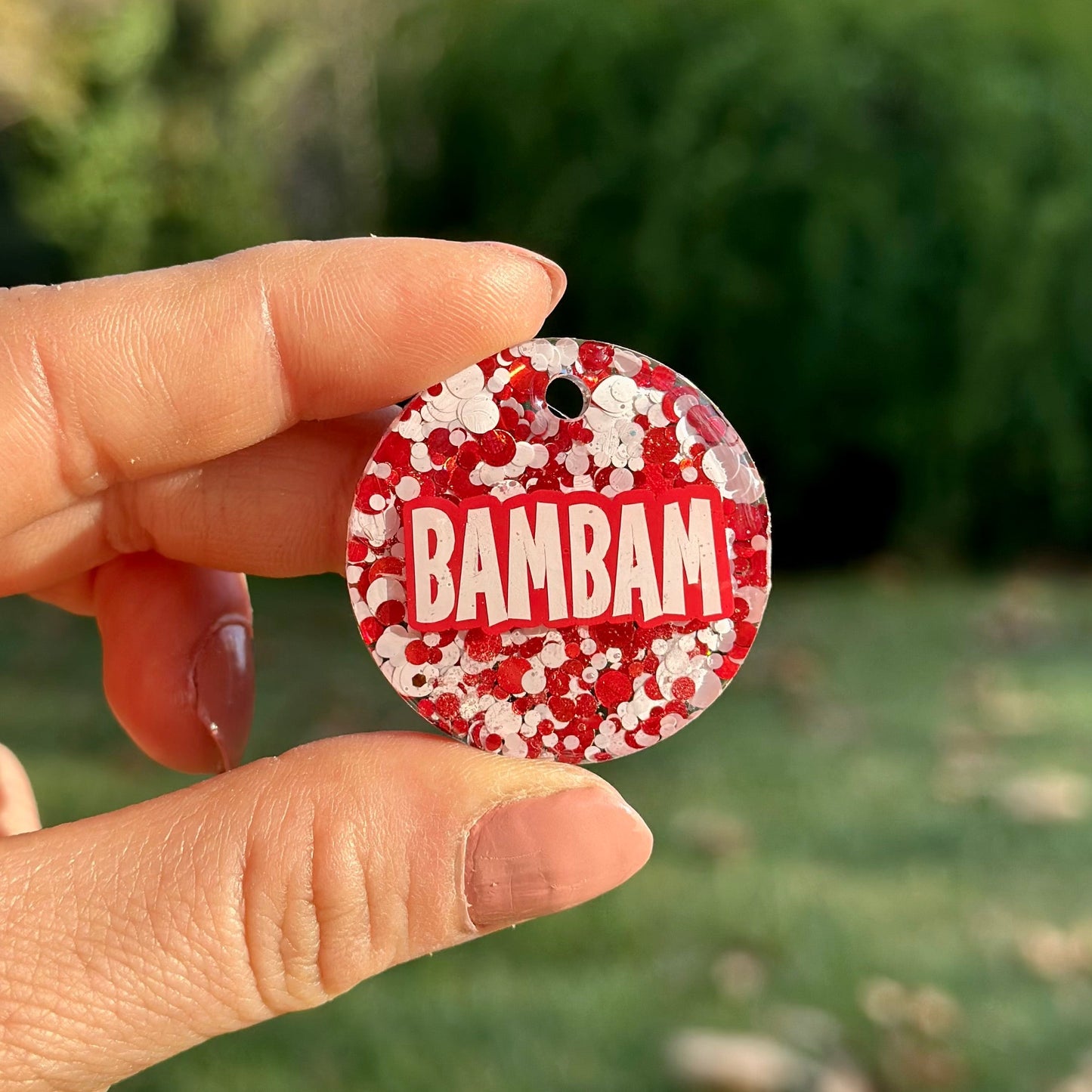 Noel | İsimli Köpek Künyesi