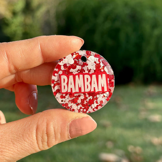 Noel | İsimli Kedi Künyesi