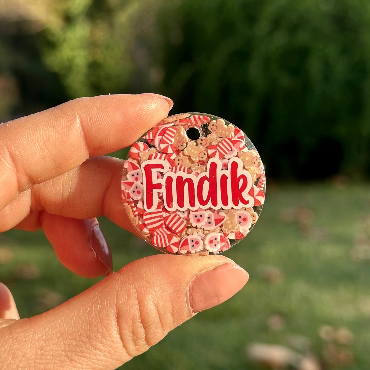 Gingerbread | İsimli Kedi Künyesi