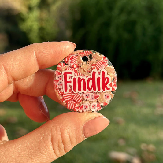 Gingerbread | İsimli Kedi Künyesi