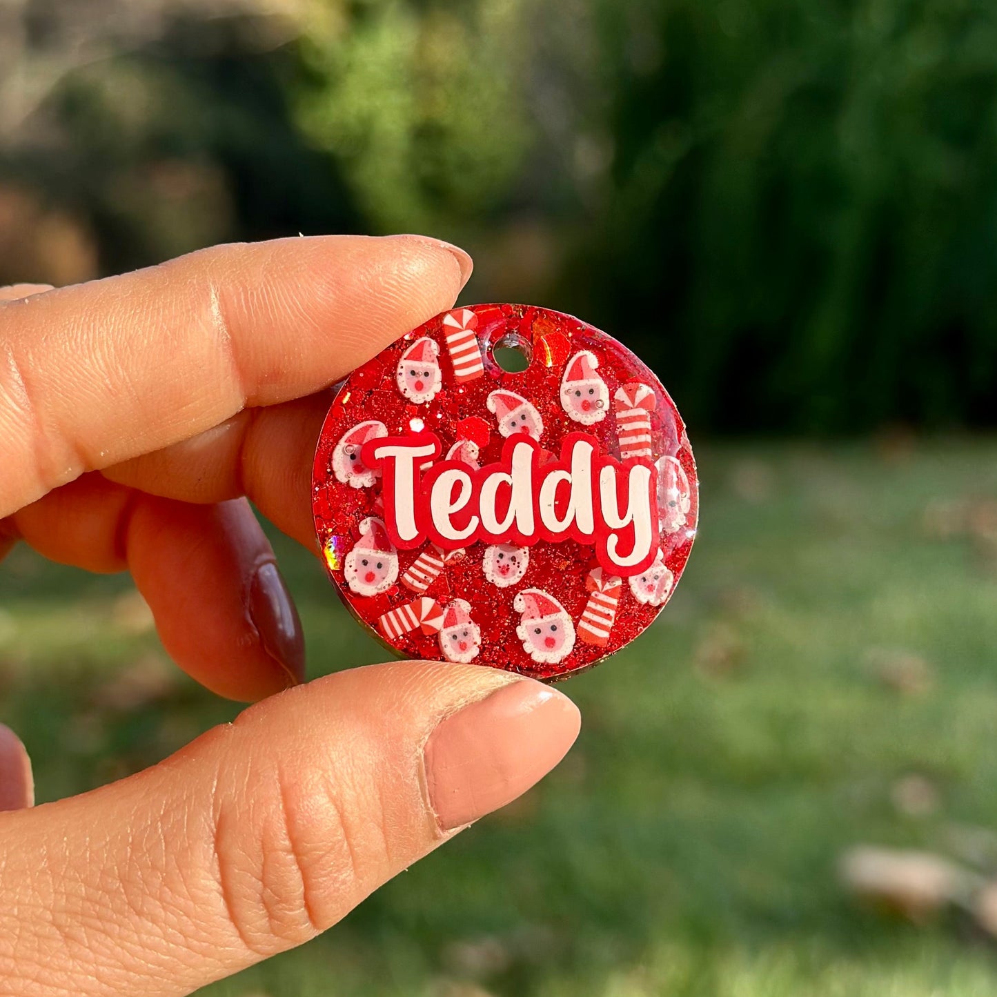 Santa Paws | İsimli Köpek Künyesi