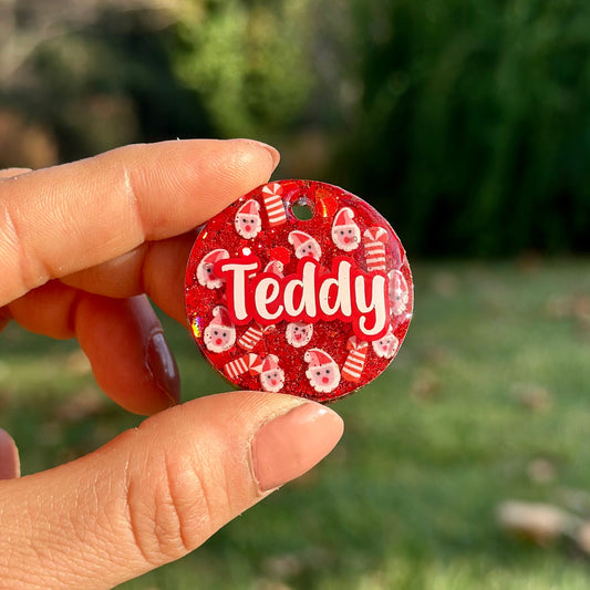 Santa Paws | İsimli Kedi Künyesi