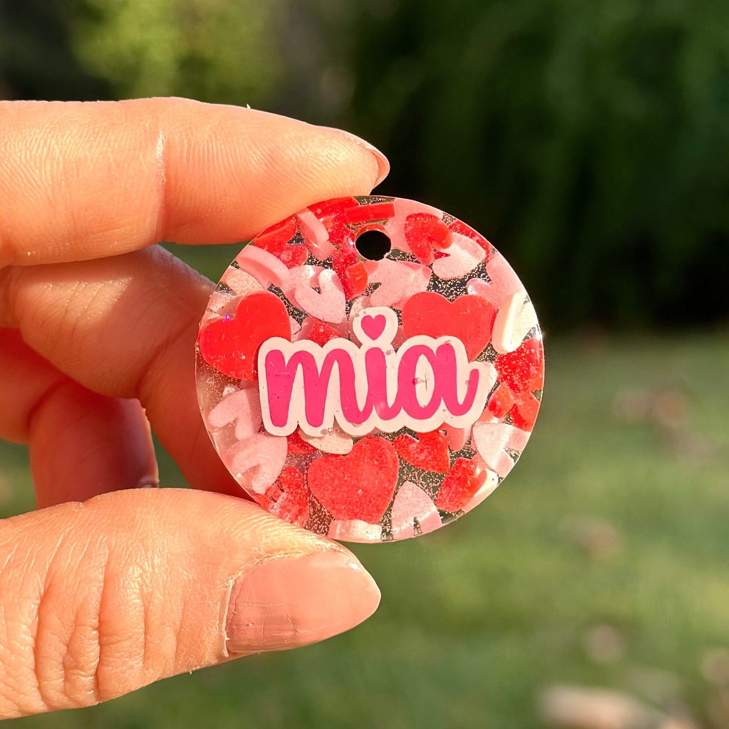 Amour | İsimli Köpek Künyesi