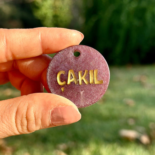 Brandon | İsimli Kedi Künyesi