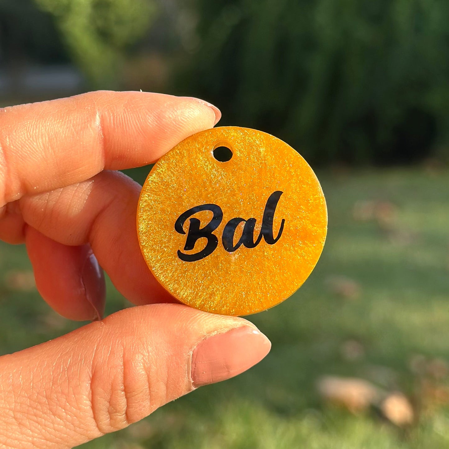 Venüs | İsimli Kedi Künyesi