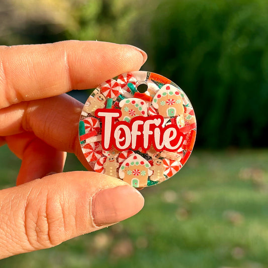 Holly | İsimli Kedi Künyesi