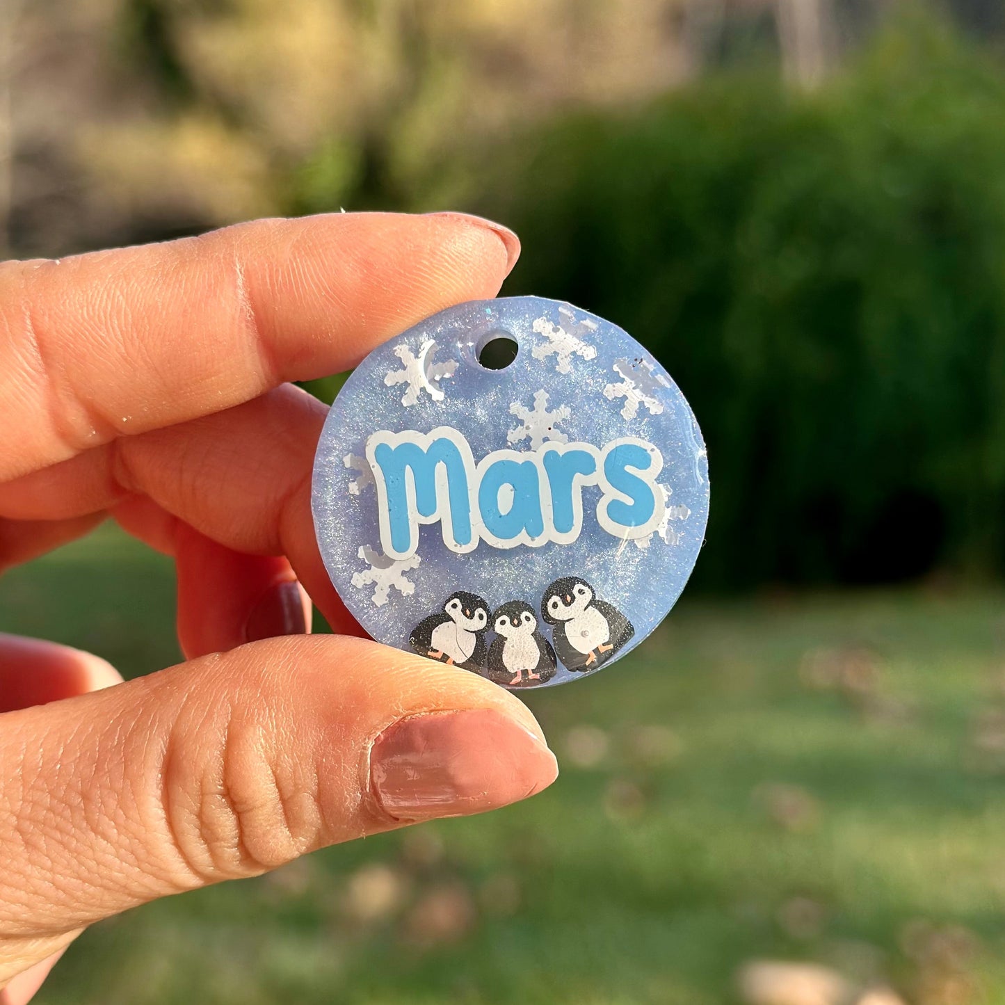 Penguin Cloud | İsimli Kedi Künyesi