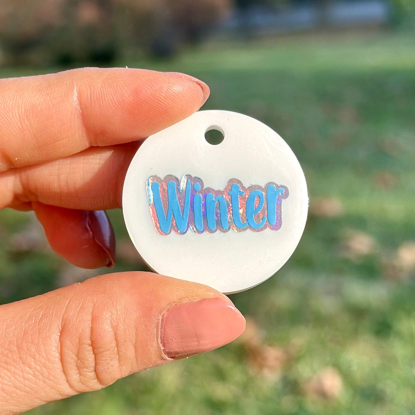 Titania | İsimli Köpek Künyesi