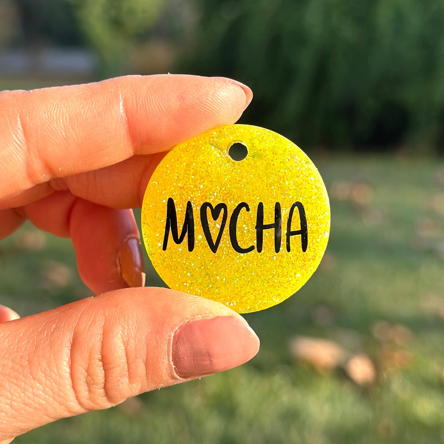 Sunbeam | İsimli Kedi Künyesi