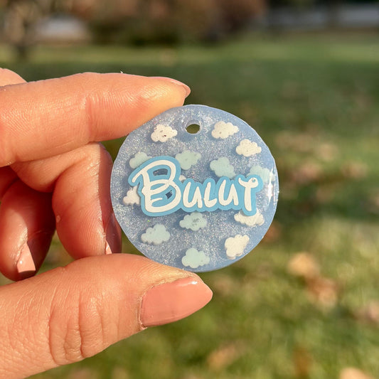 Blue Cloud | İsimli Kedi Künyesi