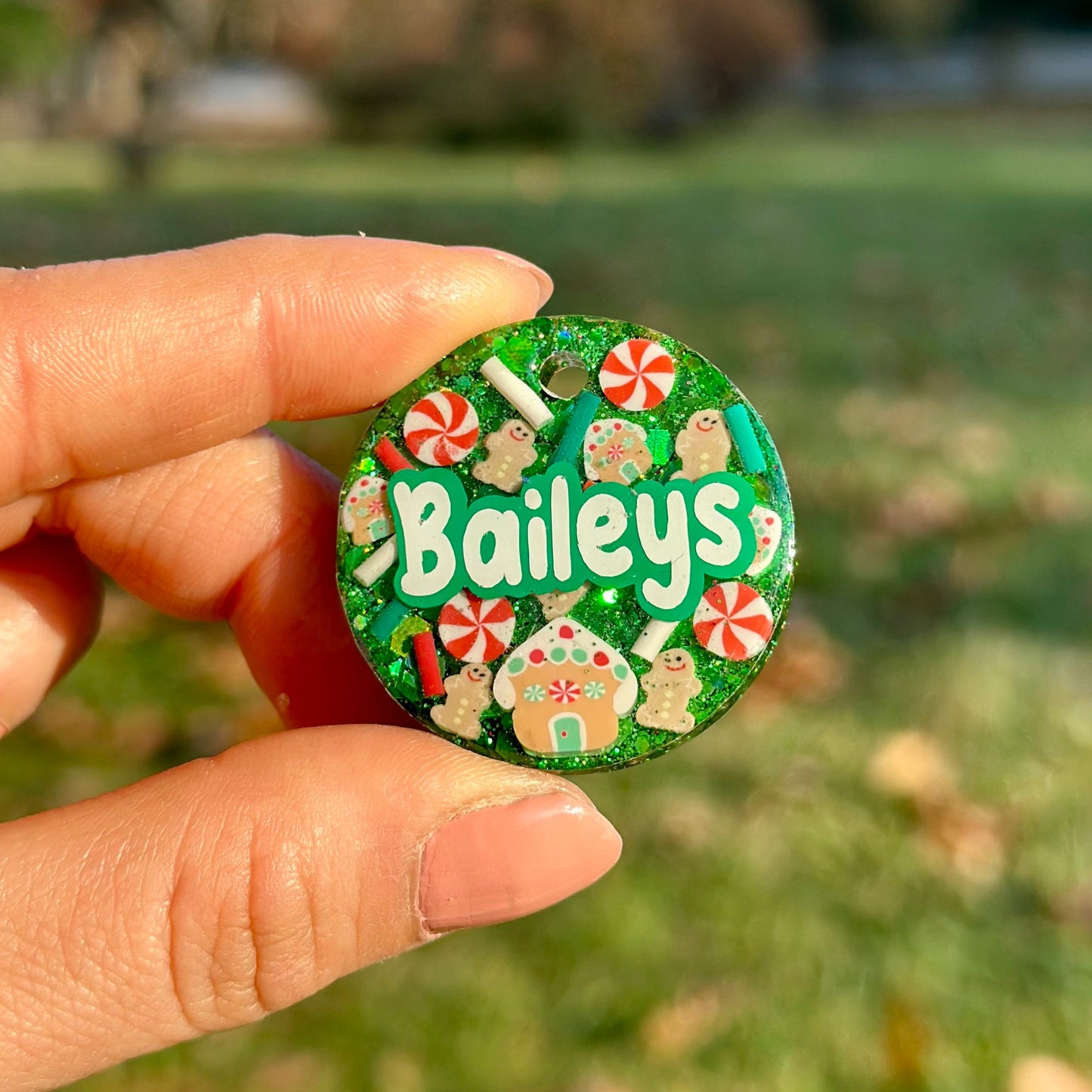 Candy Cane | İsimli Kedi Künyesi