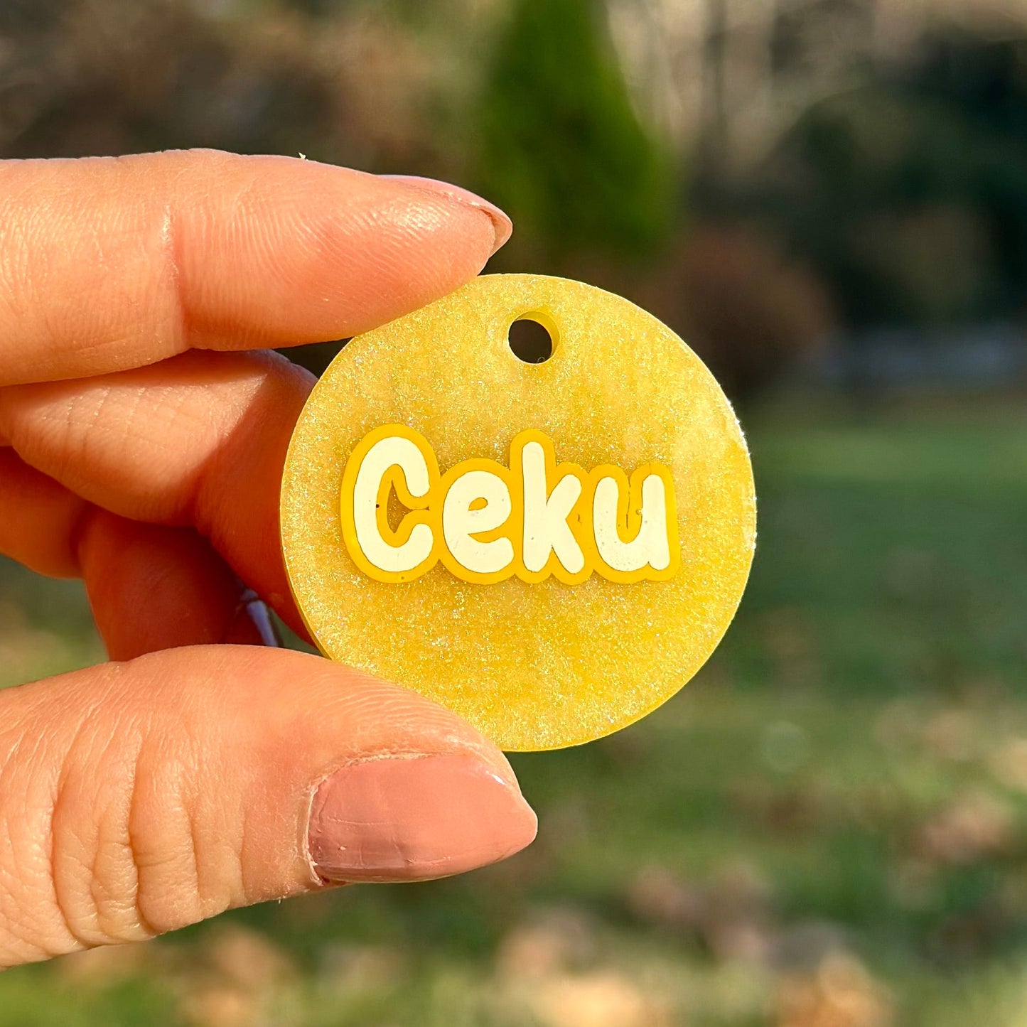 Laurus | İsimli Kedi Künyesi