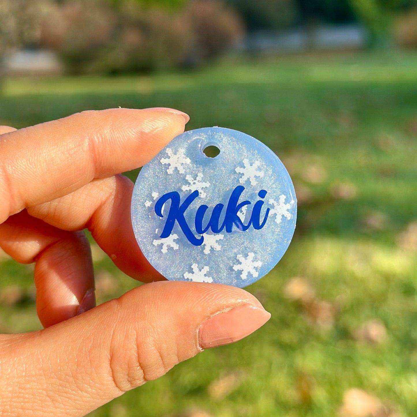 Blue Snowflake | İsimli Kedi Künyesi