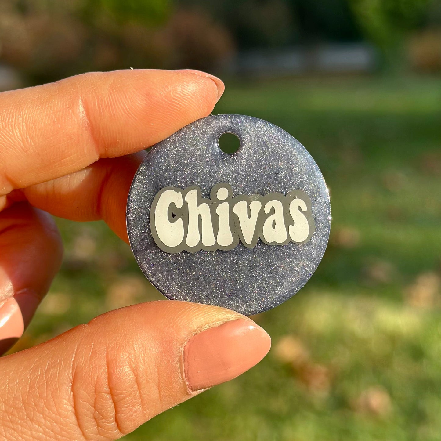 Artic | İsimli Kedi Künyesi